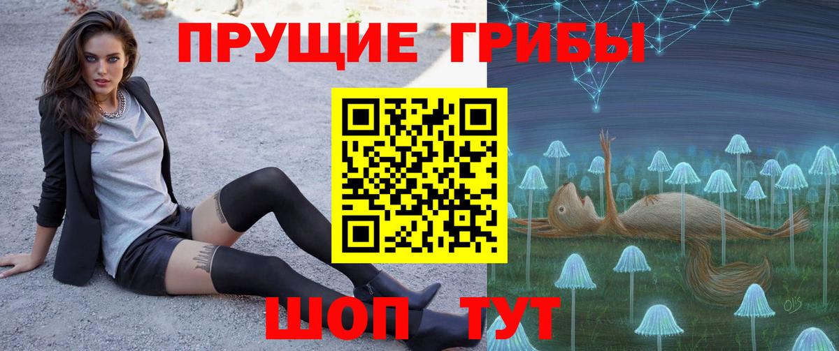 Псилоцибиновые грибы MAGIC MUSHROOMS  Псилоцибиновые грибы GOLDEN TEACHER  Смоленск  Вход с VPN 